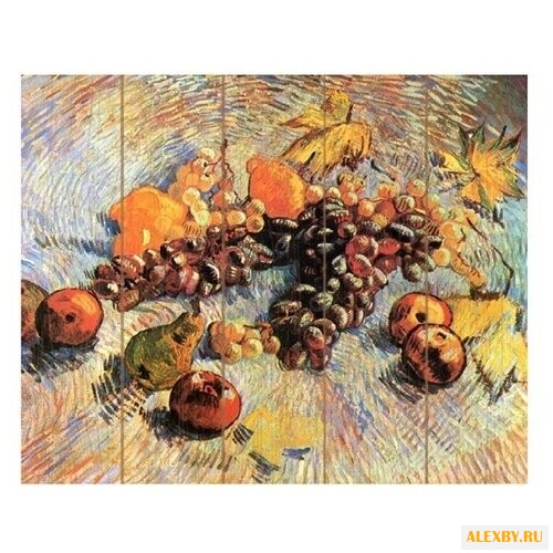 Molly Картина по номерам