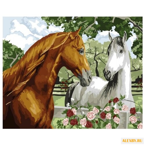 Color Kit Картина по номерам