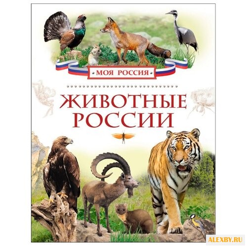 Моя Россия. Животные России