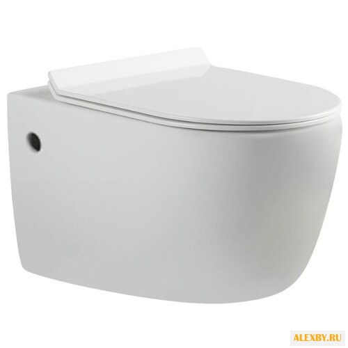 Унитаз Aquanet Cetus BL-102N-WHT