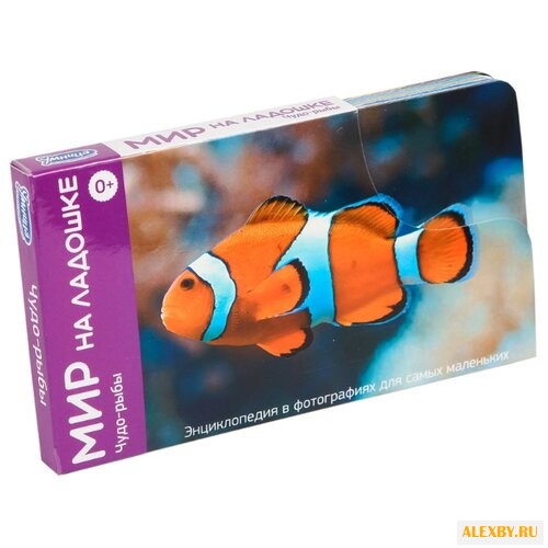 Набор карточек Умница Мир на