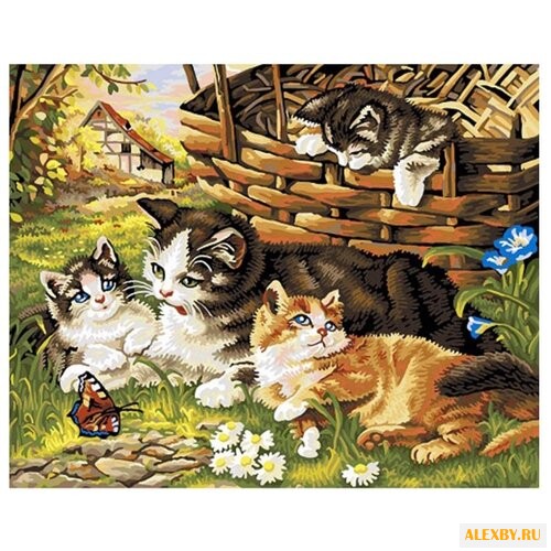 Color Kit Картина по номерам