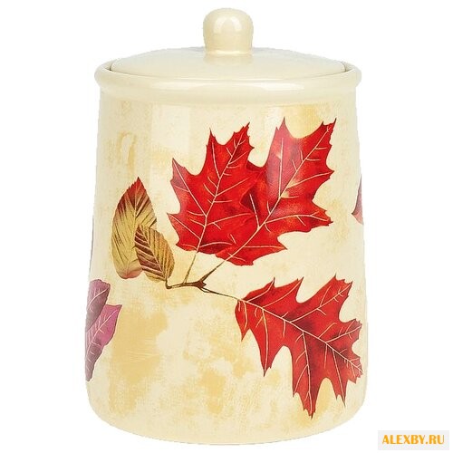 ENS Банка для сыпучих продуктов