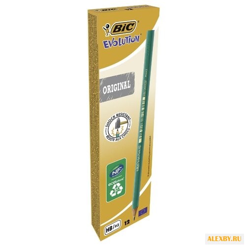 BIC Набор чернографитных