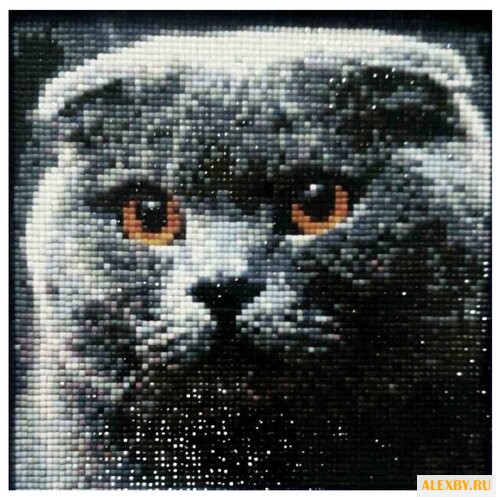 Алмазная живопись Набор