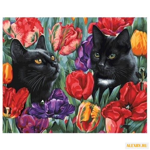 Белоснежка Картина по номерам