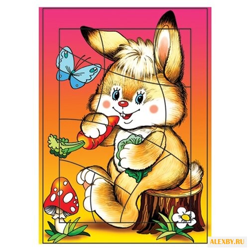 Рамка-вкладыш Дрофа-Медиа