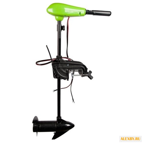 Лодочный мотор greenworks G12TM32