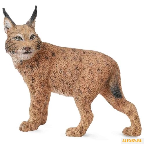 Фигурка Collecta Рысь 88565