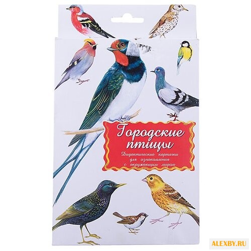 Набор карточек Маленький гений