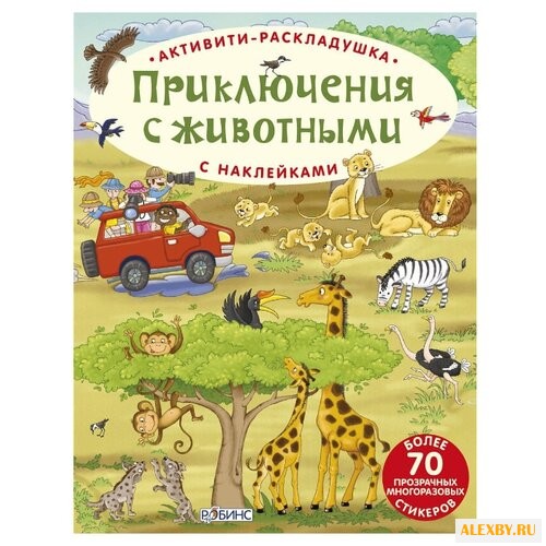 Активити-раскладушка.