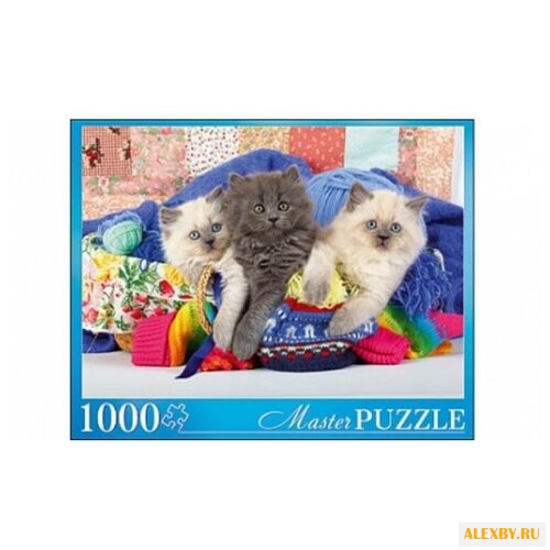 Пазл Рыжий кот Masterpuzzle Три