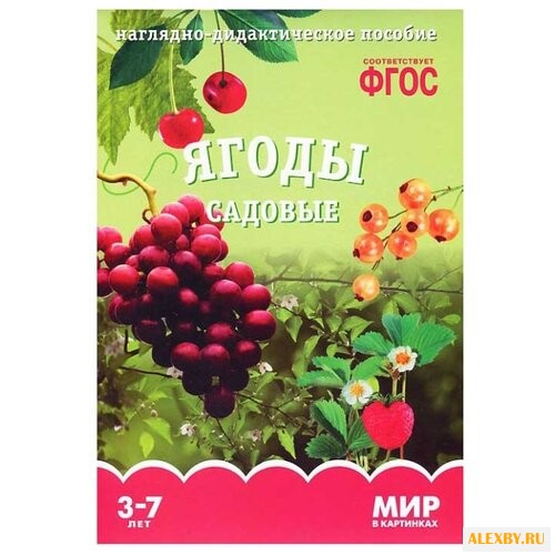 Набор карточек Мозаика-Синтез