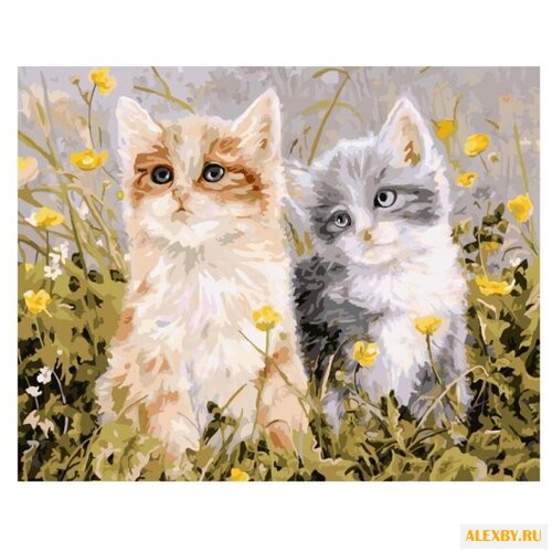 Белоснежка Картина по номерам