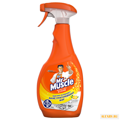 Спрей эксперт для кухни