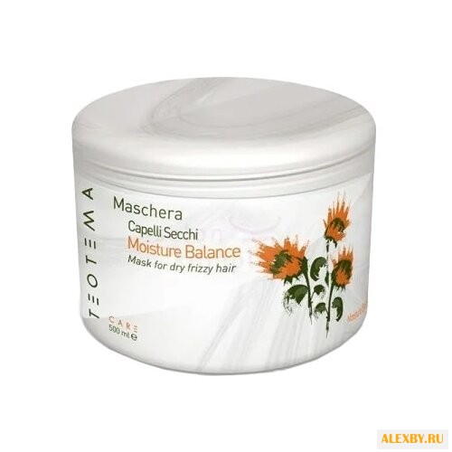 Teotema Moisture Balance