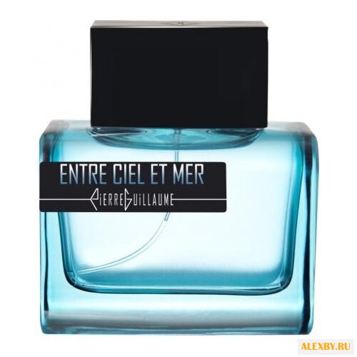 Pierre Guillaume Entre Ciel et