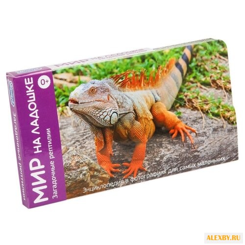 Набор карточек Умница Мир на