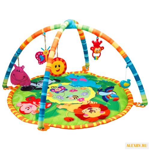 Развивающий коврик Winfun