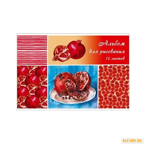 Альбом для рисования BG Сочные