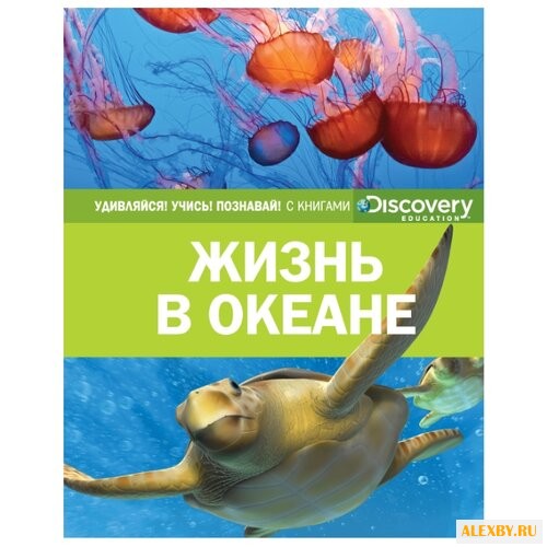 Жизнь в океане