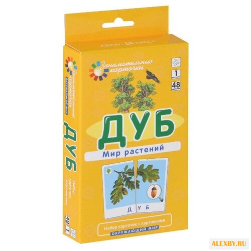 Набор карточек Айрис-Пресс