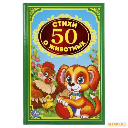 Степанов В. Дружинина М.