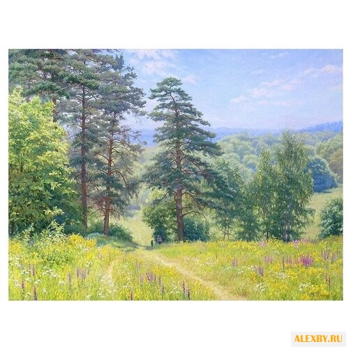 Paintboy Картина по номерам По