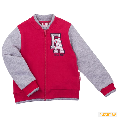 Олимпийка Free Age