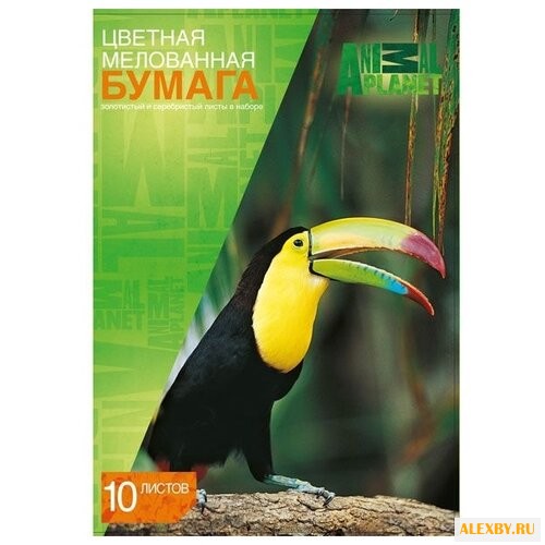 Цветная бумага Animal planet