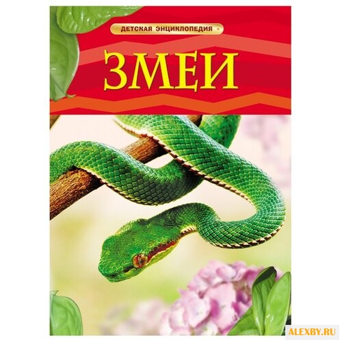 Шейх-Миллер Д. Детская