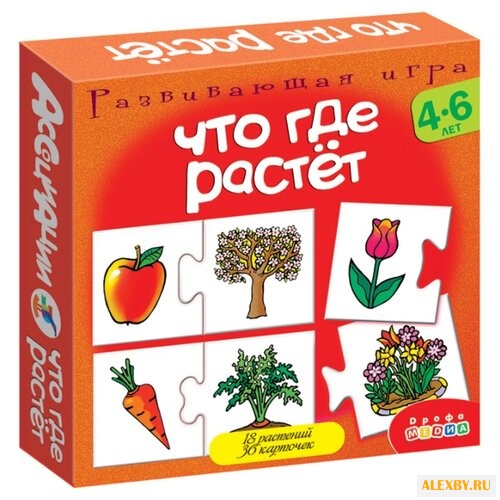 Настольная игра Дрофа-Медиа