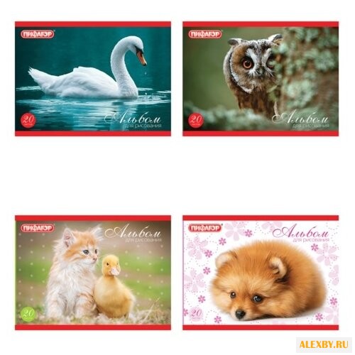 Альбом для рисования Пифагор