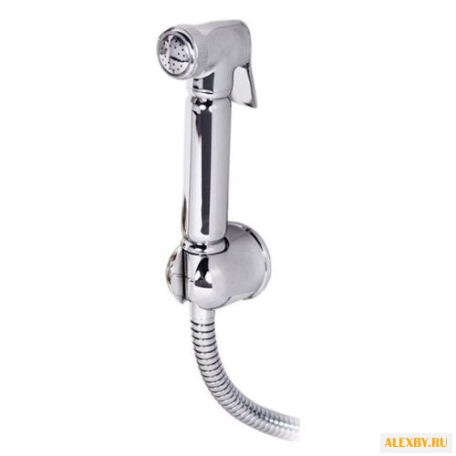 Лейка для гигиенического душа