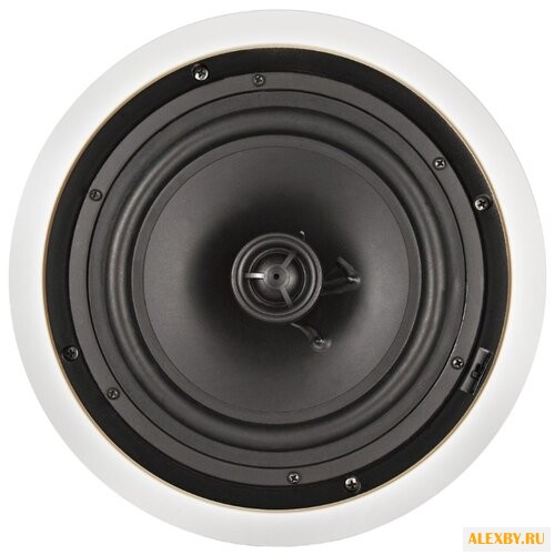 Акустическая система CVGaudio