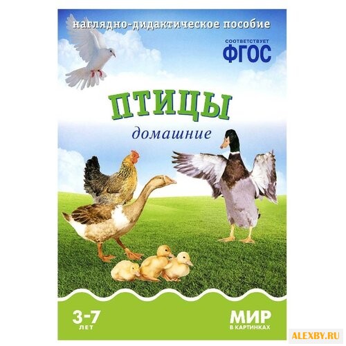 Набор карточек Мозаика-Синтез