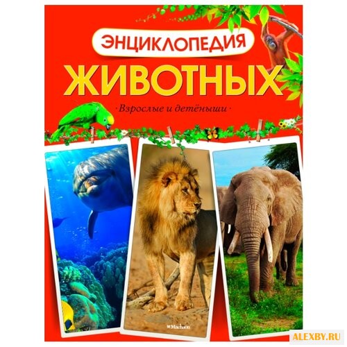 Энциклопедия животных. Взрослые