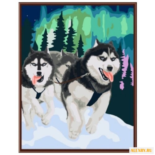 Color Kit Картина по номерам