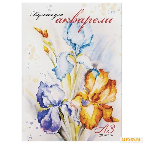 Папка для акварели ArtSpace