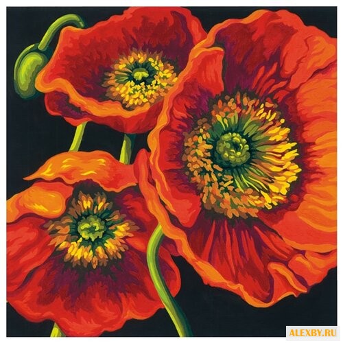 Dimensions Картина по номерам