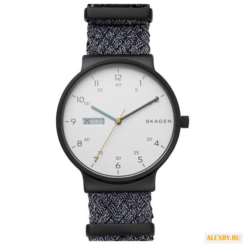 Наручные часы SKAGEN SKW6454