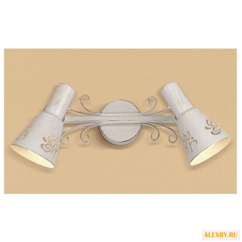 Спот Citilux Дункан CL529522