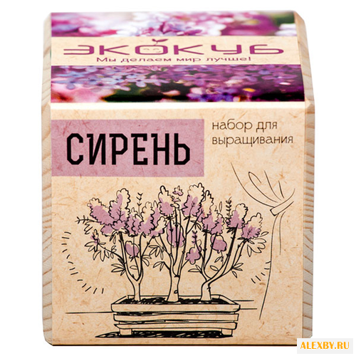 Набор для выращивания Эйфорд