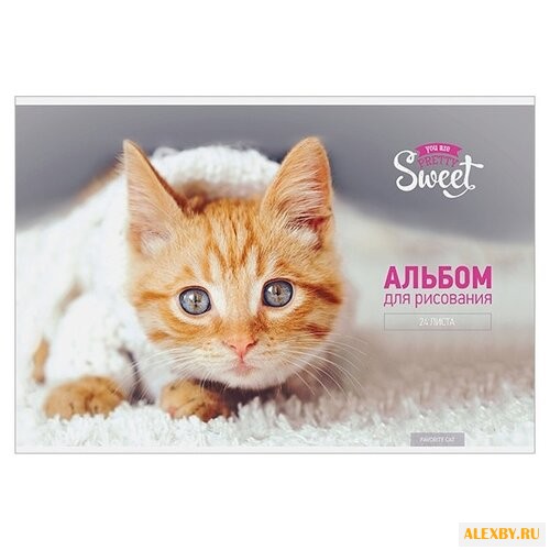 Альбом для рисования ArtSpace