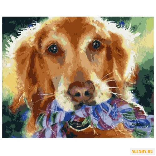 Color Kit Картина по номерам