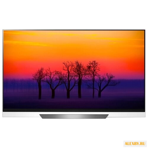 Телевизор LG OLED55E8