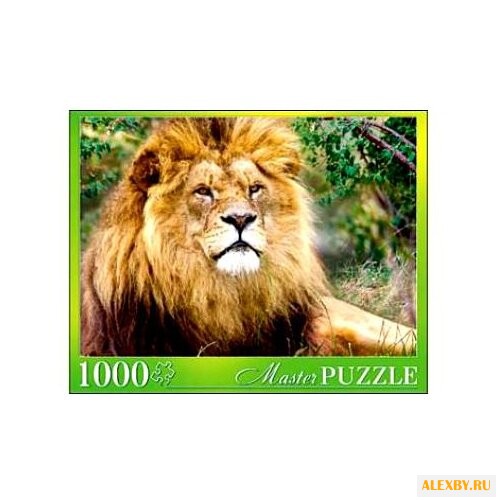 Пазл Рыжий кот Masterpuzzle