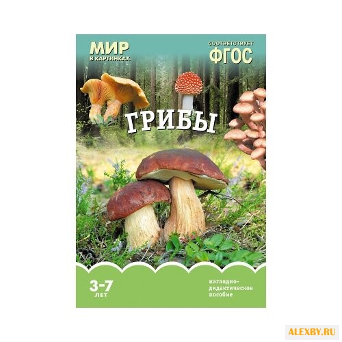 Набор карточек Мозаика-Синтез