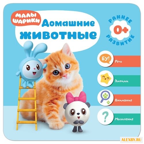 Малышарики. Курс раннего