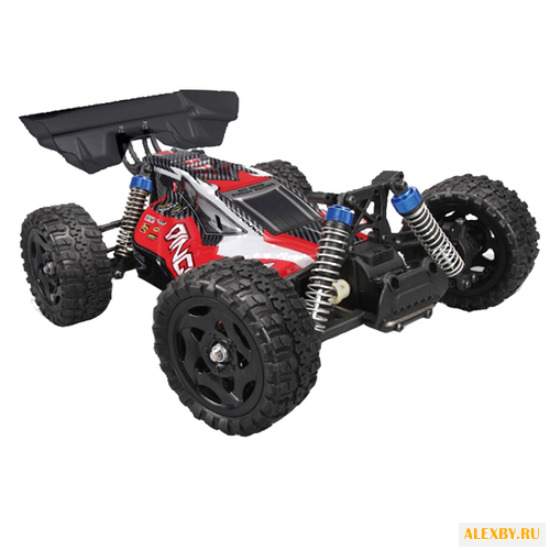 Багги Remo Hobby Dingo RM1651